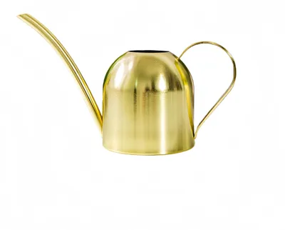 Gießkanne 1000 ml, gold, Edelstahl, langer Auslauf für Sukkulenten