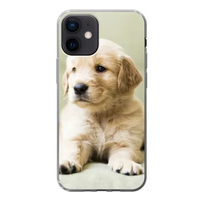 Produktbild von MuchoWow® Handyhülle Schutzhülle Hülle für iPhone 12 Golden Retriever Welpe auf dem Sofa liegend Silikon Softcase Handy Hülle - Schutzhülle