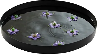 Produktbild von (4er Set) Wat Spiegelbecken Ø57cm schwarz.