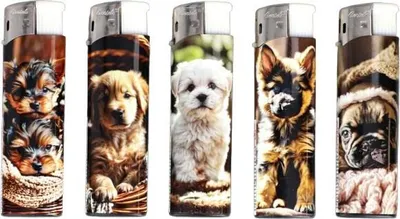 Produktbild von Set mit 5 klassischen Piezo-Gasfeuerzeugen mit Hunden