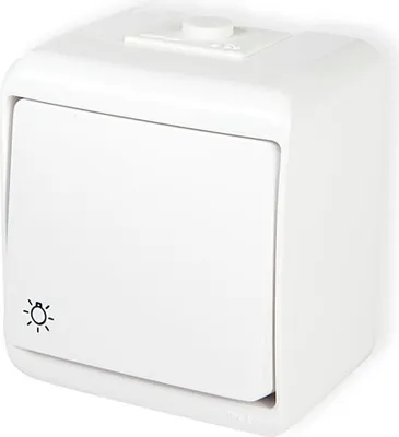 Obrázek produktu pro Světle bílá IP54, 10AX 250V (Série/Kategorie: JUNIOR) WHE-5