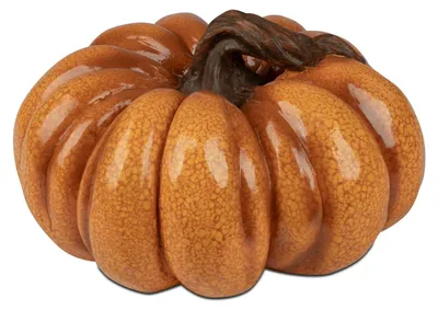 Produktbild von Dekoobjekt Kürbis HERBSTZEIT orange D. 26cm aus Magnesia Formano H26