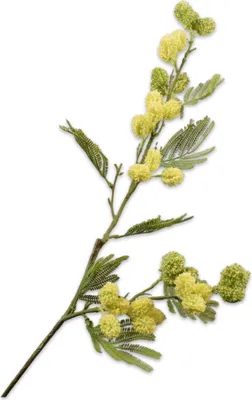Produktbild von Silk-ka Künstliche Blume – Seidenblume, Mimosenzweig, gelb, 83 cm