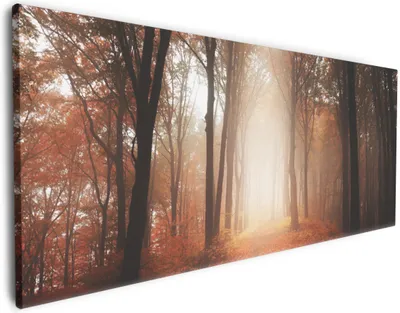 Produktbild von Wallario Premium Leinwandbild Herbstwald - Weg zu einer Lichtung im Wald in Größe 50 x 125 cm