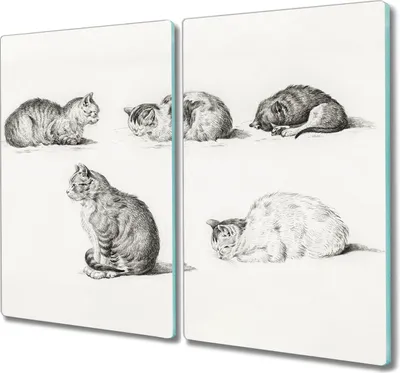 Produktbild von Coloray Küchenbrett Kochplattenabdeckung Hackbrett Schneidebrett Herdabdeckplatte 2x30x52 cm - Tiere Katzen