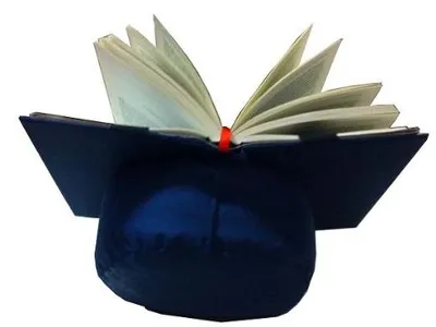 Produktbild von Bücherständer verstellbar, ergonomisch, Leeskissen blau, 1 Stück, für die Küche
