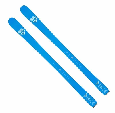 Productafbeelding van Black Crows Ova Freebird, 170 cm