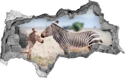 Produktbild von Selbstklebender Loch-3D-Aufkleber 95x73 cm Zebras in den Bergen
