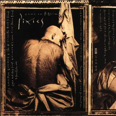 Produktbild von Pixies - Come On Pilgrim (LP)
