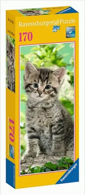Image de Chaton tigré, 170 pièces