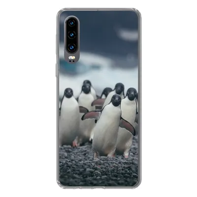 Produktbild von MuchoWow® Handyhülle Schutzhülle Hülle für Huawei P30 Adeliepinguine am Strand Silikon Softcase Handy Hülle - Kartenbesitzer