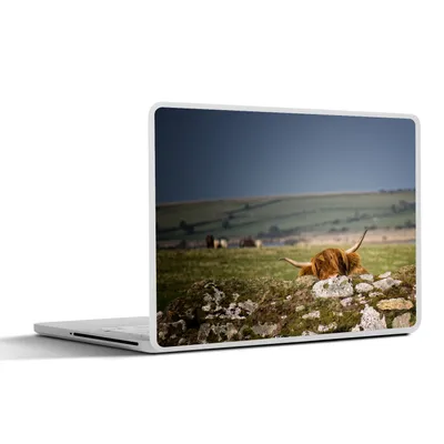 Produktbild von MuchoWow® Laptop Aufkleber Sticker Cover Schottische Highlander - Steine - Gras 40x30 cm - Laptop Dekoration - Selbstklebend