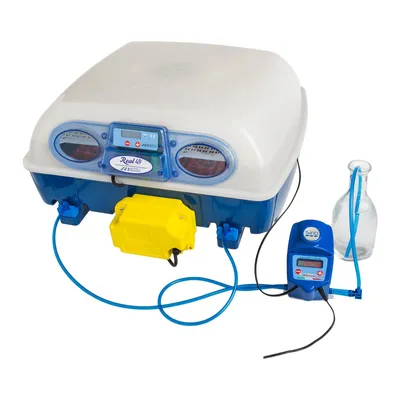 Immagine prodotto di Incubatrice per 49 uova, sistema di irrigazione completamente automatico, macchina per l'allevamento automatica