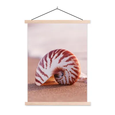 Produktbild von MuchoWow® Textilposter Muschel - Strand - Meer - Sand 60x80 cm mit holzfarbenen Rahmen - Wandbild