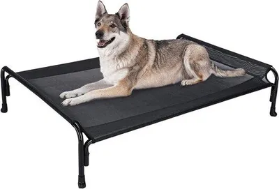 Immagine prodotto di Cuccia rialzata per cani - Robusta struttura per cani di grossa taglia - Rete lavabile e traspirante - Piedini antiscivolo - Adatta per uso interno ed esterno - Grande, nera
