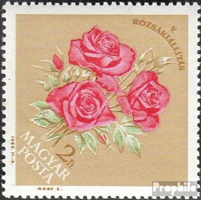 Produktbild von Briefmarken Ungarn 1963 Mi 1922A (kompl.Ausg.) postfrisch Rosenausstellung