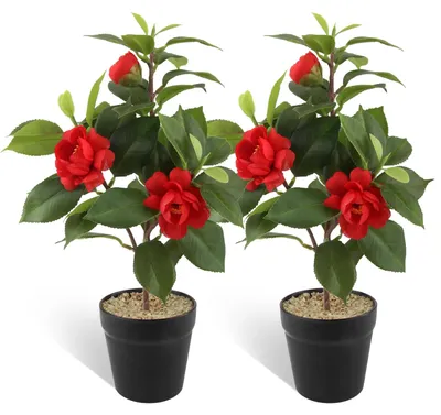 2 Kunstkamelien im Topf, rot, 33 cm, Seidenblumen
