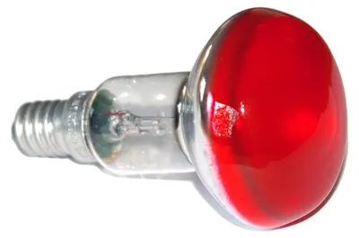 Produktbild von Ormalight Reflektor Glühbirne Spot Color R50 25W E14 farbig Rot