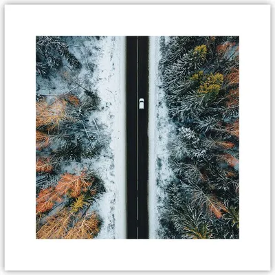 Produktbild von Poster - Poster ohne Rahmen - Wald Weg Schnee - 30x30 cm - Wand Bild - Wanddeko - Wandbilder - Kunstposter - Wandposter - Bilder - Kunstdruck - Wanddekoration - Wandbild - P2XAC30x30-4654