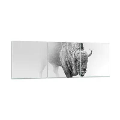 Produktbild von Bilder auf glas - 3 Teile - Wisent Schwarzweiß Licht - 150x50cm - Glasbilder - Wandbilder - Bilder - zum Aufhängen bereit - Wanddekoration aus Glas - Glas Bilder - Wandbild auf Glas - GCA150x50-4418