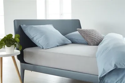A neatly made bed with light blue bedding and pillows, a small plant on a side table.