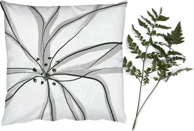 Produktbild von MuchoWow® Zierkissen Sofakissen Wohnzimmer Dekokissen 45x45 cm Blumen - Abstrakt - Design - Schlafpolster - Polster für das Sofa