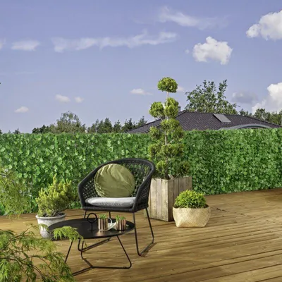 Produktbild von Sichtschutzhecke Weinblattoptik
