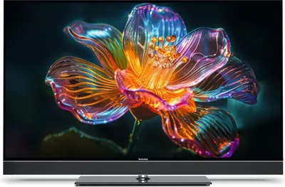Produktbild von TechniSat 5455/9930, 139,7 cm (55"), 3840 x 2160 Pixel, LCD, Smart-TV, WLAN, Schwarz, Titan