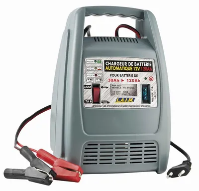 Immagine prodotto di Caricabatterie 12V 120Ah Automatico (10A)