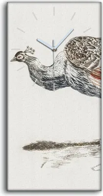 Produktbild von Leinwand Wanduhr Wandkunst Uhr Geräuschlos 30x60 Gemälde Tier Vogel Pfau Kunst - weiße Hände
