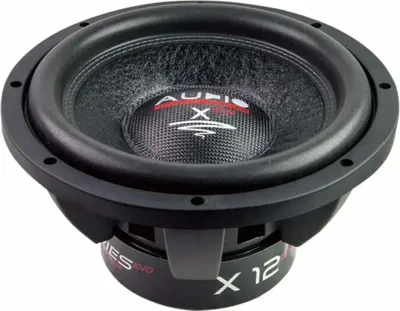 Zdjęcie produktu dla System audio X 10 EVO, subwoofer 10" (25 cm), 600 W