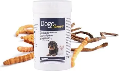 Produktbild von Ergänzungsfuttermittel DogoSenior Tabletten 60 Stück