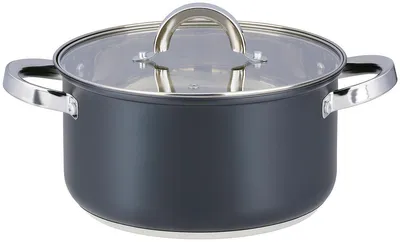 Obrázok produktu pre Alpina hrniec na indukciu s skleneným pokrievkou, 22 cm, 4,7 l - nerezový hrniec