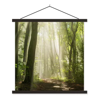 Produktbild von MuchoWow® Textilposter Wald - Licht - Natur - Landschaft 90x90 cm mit schwarzem Rahmen - Magnetisches