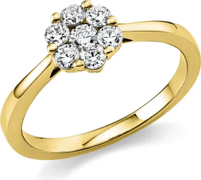 Produktbild von Ring Blume 750 Gelbgold 6 Brillanten 0,33ct TW-SI 1 Brillant 0,09ct TW-SI B:7,1mm Innenumfang 56mm  Ø17.8mm