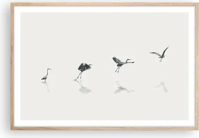 Produktbild von Gerahmtes Poster - Rahmen in heller Eiche - Flug Vogel Reiher - 91,5x61 cm - Wand Bild - Wanddeko - Wandbilder - Kunstposter - Wandposter - Bilderrahmen - Bilder - Kunstdruck - P2NAA91x61-5096