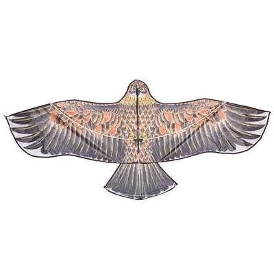 Immagine prodotto di Aquila 17 drago volante variante 40258