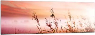 Produktbild von Bilder auf glas - Wiese Getreide Natur - 160x50cm - Glasbilder - Wandbilder - Kunstdruck - zum Aufhängen bereit - Wanddekoration aus Glas - Glas Bilder - Wandbild auf Glas - Einteilig - GAB160x50-3530