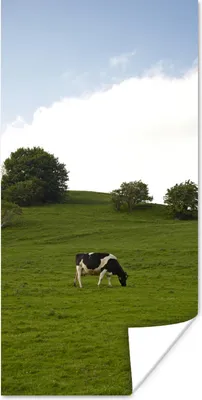 Produktbild von MuchoWow® Poster Kuh - Tier - Landschaft 60x120 cm - Wandschmuck