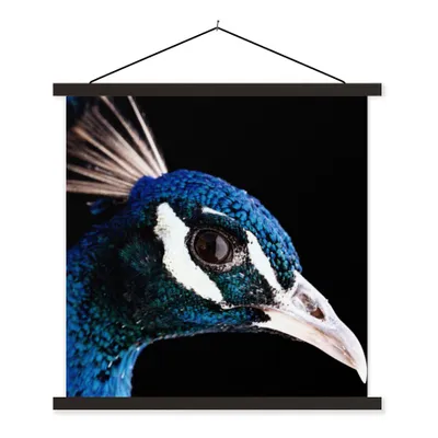 Produktbild von MuchoWow® Textilposter Pfau - Tier - Blau 90x90 cm mit schwarzem Rahmen - Magnetisches
