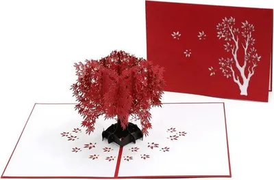 Obrázek produktu pro 3D pop-up valentýnské přání Romantický javor