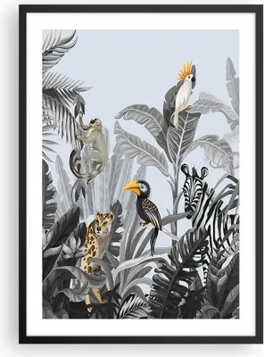 Produktbild von Gerahmtes Poster - Schwarzer Rahmen - Dschungel Tiere Tukane - 50x70 cm - Wand Bild - Wanddeko - Wandbilder - Kunstposter - Wandposter - Bilderrahmen - Bilder - Kunstdruck - P2BPA50x70-4662