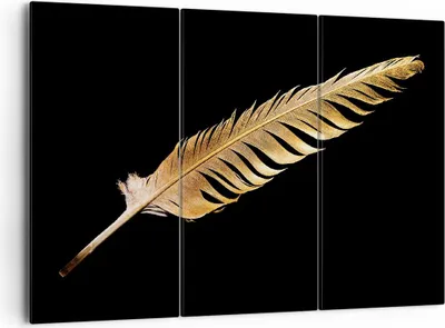 Produktbild von Bild auf Leinwand - Leinwandbild - 3 Teile - Golden Feder Schwarz - 165x110cm - Wand Bild - Wanddeko - Wandbilder - Leinwanddruck - Bilder - Wanddekoration - Leinwand bilder - CE165x110-4887