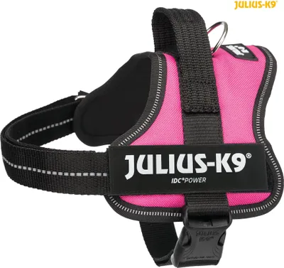 Image de Julius-K9® Harnais® Bébé 1–Mini 51–67 cm/28 mm fuchsia