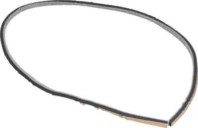 Produktbild von Trommeldichtung vorne SAMSUNG DC93-00125A für Trockner