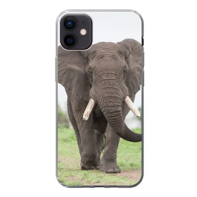 Produktbild von MuchoWow® Handyhülle Schutzhülle Hülle für iPhone 12 mini Elefant - Tiere - Gras - Natur Silikon Softcase Handy Hülle - Bild