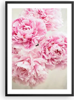 Produktbild von Gerahmtes Poster - Schwarzer Rahmen - Pfingstrosen Blumenstrauß Blumen - 50x70 cm - Wand Bild - Wanddeko - Wandbilder - Kunstposter - Wandposter - Bilderrahmen - Bilder - Kunstdruck - P2BPA50x70-4961