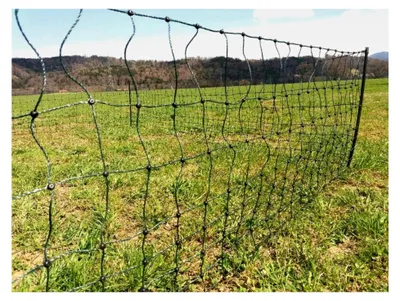 Produktbild von Kaninchenzaun 55 cm Höhe | Kaninchennetz | Hasenauslauf | Elektronetz | Kleintiernetz | Hasenzaun (15 m)