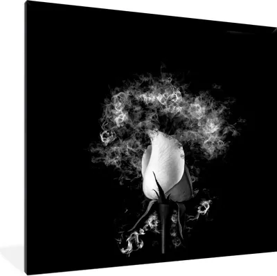Produktbild von MuchoWow® Gerahmtes Poster Rosen - Blumen - Rauch - Schwarz - Weiß 40x40 cm - Poster mit Schwarzem Bilderrahmen Wandposter Rahmen Foto Bilder - Mit Rahmen - Wanddekoration Schlafzimmer