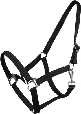 Produktbild von ARBO-INOX® Halfter mit Schiebeschnalle Stallhalfter Basic QHP Farbe - schwarz Größe - Full Warmblut
